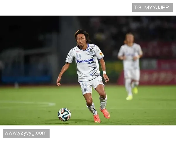 京都与水户蜀葵比赛前瞻分析及胜负预测详解